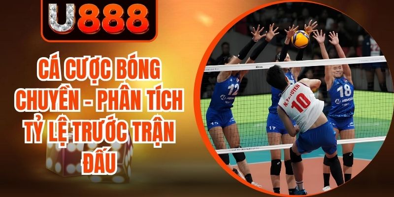 Cá Cược Bóng Chuyền - Phân Tích Tỷ Lệ Trước Trận Đấu